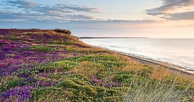 How to spend a weekend in Suffolk