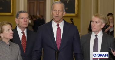 John Thune