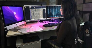 If there were a stereotypical image of someone who carries out this vital but harrowing work, it would not be Alex Bromley, a civilian Surrey Police employee, who looks considerably younger than her 35 years