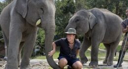 Nicholas Sklavos, 25, from Long Island, quit his job and booked a one-way ticket to Japan in September 2025 and has been backpacking through Asia since