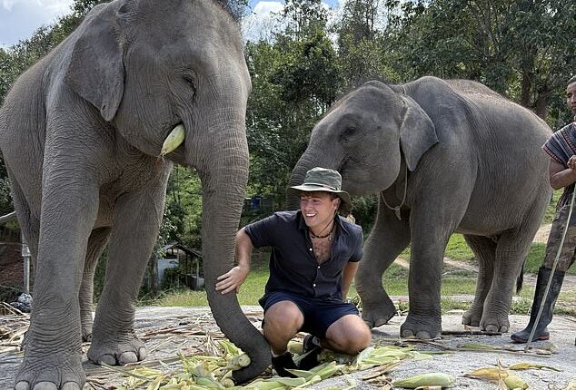 Nicholas Sklavos, 25, from Long Island, quit his job and booked a one-way ticket to Japan in September 2025 and has been backpacking through Asia since