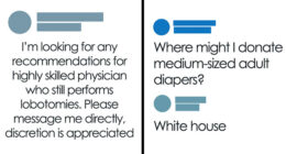 “If I Were President”: 83 Neighbors Who Wrote The Most Absurd, Chaotic And Funny Things On NextDoor (New Pics)