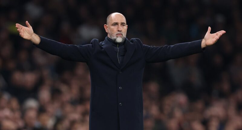 Igor Tudor addresses Tottenham future as danger of Premier League relegation grows