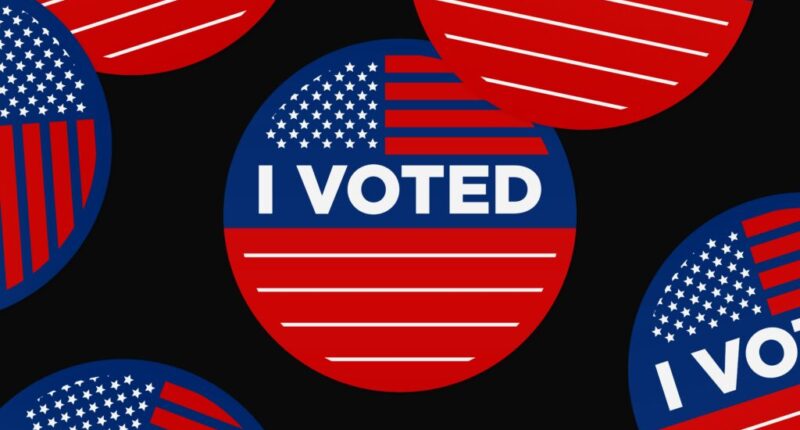 Illegal Alien Voted In 5 Presidential Elections