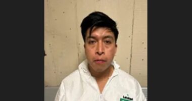 Illegal Immigrant Charged with Violent Rape of 5-Year-Old.