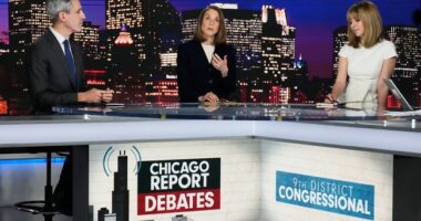 Illinois Had Some Surprises in Last Night's Primary Elections – HotAir