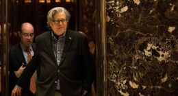 Celebrity Net Worth logo