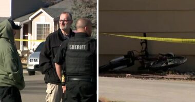 “Incredibly jarring”: Elementary school breaks silence after 11YO gets arrested over disturbing incident