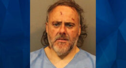 Indiana Man Cracks Mom’s Skull With Skillet, Stabs Dad to Death When He Intervenes