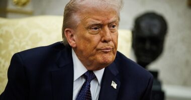 A new Daily Mail/J.L. Partners poll found the President’s approval now stands at an all-time low of 44 percent