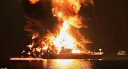 Iran has threatened all vessels passing through the strait and conducted a series of drone strikes on tankers (Pictured: The aftermath of an Iranian strike on a ship on Wednesday)