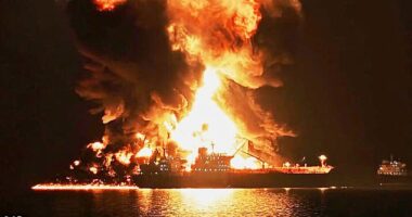 Iran has threatened all vessels passing through the strait and conducted a series of drone strikes on tankers (Pictured: The aftermath of an Iranian strike on a ship on Wednesday)