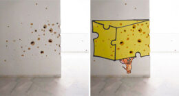 Iraqi Artist Turns Bullet-Ridden Walls Into Powerful Street Art About Hope (11 Pics)