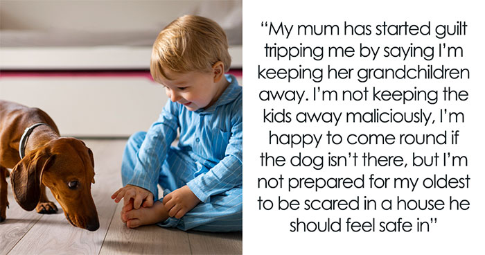 Irresponsible Aunt Chooses Untrained Dog Over Hurt Nephew After A Bite, Sparks Massive Family Feud