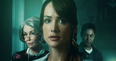 Is Lifetime's Who Could Kill a Sweet Old Lady Based on a True Story?