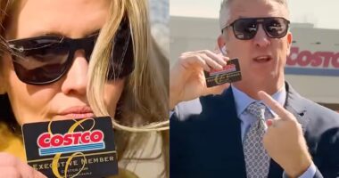 Is a $130 Costco executive membership the new VIP status symbol?