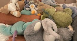 A psychologist has revealed what is means when adults keep cuddly toys (pictured: Tommy Fury with various stuffed toys)