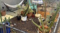 A tenant took to Reddit to vent their frustration after receiving the warning from a new leasing manager, claiming their backyard was 'too cluttered with plants'