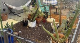 A tenant took to Reddit to vent their frustration after receiving the warning from a new leasing manager, claiming their backyard was 'too cluttered with plants'