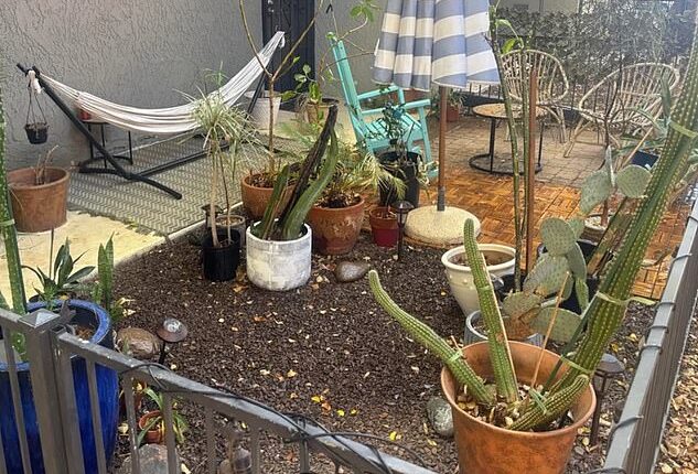 A tenant took to Reddit to vent their frustration after receiving the warning from a new leasing manager, claiming their backyard was 'too cluttered with plants'