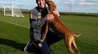 Nigel Clough at Mansfield's training ground with his dog Bobbie. Clough's team take on Premier League leaders Arsenal in the FA Cup on Saturday
