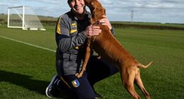 Nigel Clough at Mansfield's training ground with his dog Bobbie. Clough's team take on Premier League leaders Arsenal in the FA Cup on Saturday