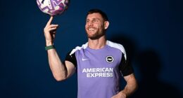 Work never stops. If there is a phrase to sum up Brighton midfielder James Milner, on and off the pitch, it is probably that