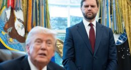 One Democratic official likened VP JD Vance's new position as 'Fraud Czar' to a participation trophy