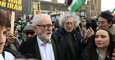 Jeremy Corbyn (centre left) was seen with his brother Piers (centre right) alongside supporters of the regime at a rally in Parliament Square on Saturday