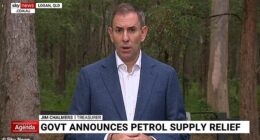 Jim Chalmers (pictured) said that inflation could reach 'mid to high fours' later this year