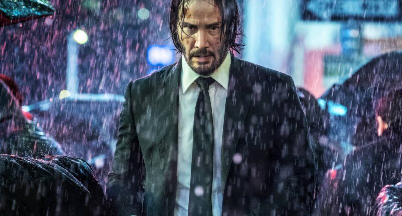 John Wick Spin-Off Finally Confirmed After 1-Year Wait