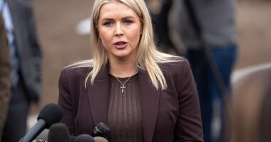 White House press secretary Karoline Leavitt stopped in the White House driveway to gaggle with reporters Friday afternoon