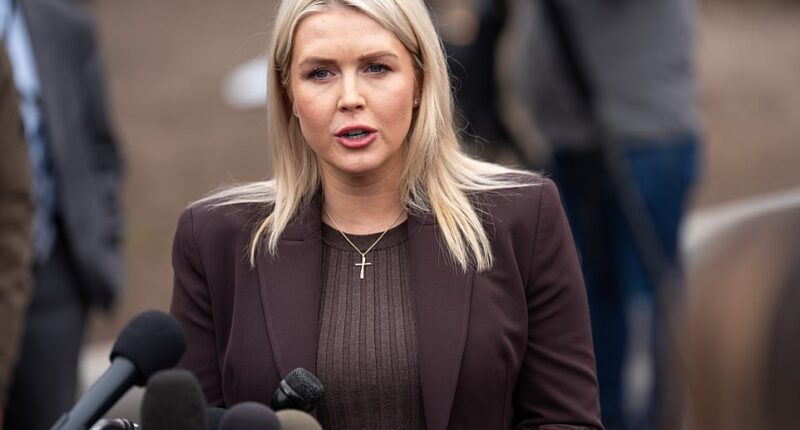 White House press secretary Karoline Leavitt took a swipe at members of President Donald Trump's MAGA base who have criticized his military action in Iran . 'X is not real life,' Leavitt said. 'This President lives in the real world.' Leavitt had stopped to gaggle with reporters Friday on the White House driveway when asked about Republican Party infighting. 'And with respect to MAGA, President Trump is the leader of MAGA,' she continued. 'He's the creator of the MAGA movement. And there is nothing more "America First" than taking out terrorists who have maimed and killed our own service men and women, who chant "death to America," and who pose a threat to the homeland.' Former Fox News hosts Tucker Carlson and Megyn Kelly have thus far led the Iran war opposition.