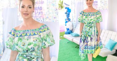 Katherine Heigl hits first red carpet in 2 years, attends dog rescue event at Mar-a-Lago