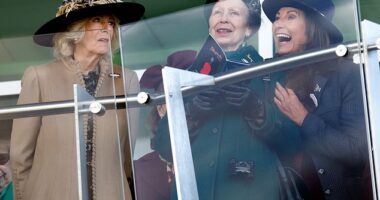 Queen Camilla, Princess Anne and Carole Middleton as they attend 'Ladies Day' at Cheltenham