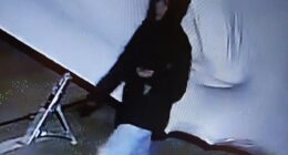 Police have issued a new CCTV image showing a person, believed to be Vitoria Figueiredo Barreto, apparently jumping over a fence into the boatyard just after midnight on March 4