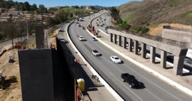 California wildlife bridge project