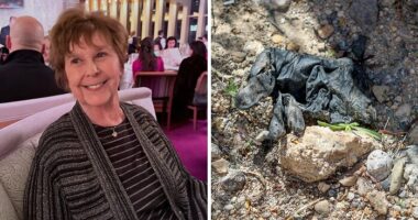 Long-Standing Mystery Of Gloves In Nancy Guthrie Case Finally Solved