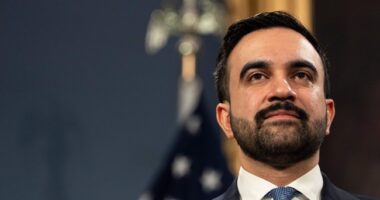 Mamdani Condemned ‘Making Light’ of Oct. 7. His Wife Was Liking Posts Praising It. – RedState