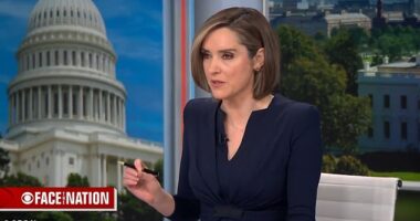 Brennan had asked Cotton if Trump's warning that there could be 'American casualties' in the war meant that 'the U.S. is putting boots on the ground'