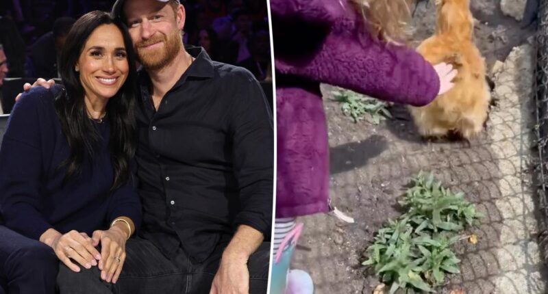 Meghan Markle gives a glimpse at home life with sweet new video of daughter Lilibet