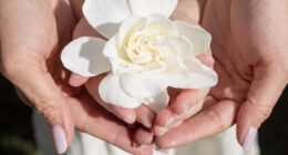 Revealing As Ever is collaborating with a luxury floral delivery firm, Meghan shared a close-up photo of Lilibet, four, holding a white gardenia, as the toddler's hair was visible in the snap