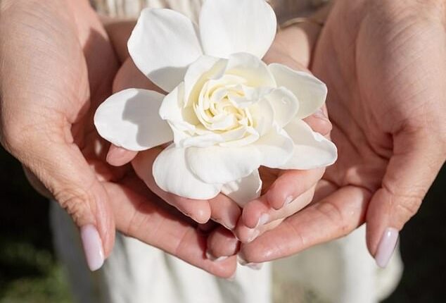 Revealing As Ever is collaborating with a luxury floral delivery firm, Meghan shared a close-up photo of Lilibet, four, holding a white gardenia, as the toddler's hair was visible in the snap