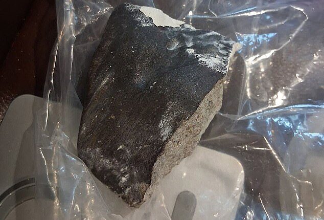 Pictured: The meteorite that landed in Sherrie James's home just outside Houston on Saturday