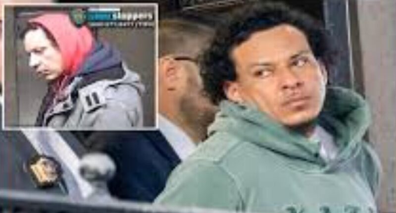 Migrant Charged With Throwing Random Stangers Onto Subway Tracks.