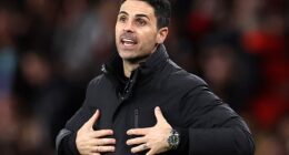 Mikel Arteta has suggested he will be forced into rotation by the condition of Mansfield's pitch