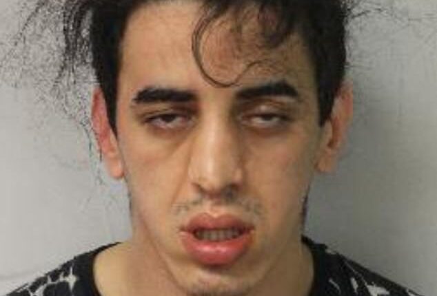 Algerian teenager Mohamed Sellaoui stalked a wealthy tourist as he walked through Mayfair on an evening out before violently attacking to rip a £37,000 watch from his wrist