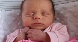 Darcy died at just five weeks old two days after collapsing at home - she had sustained a catastrophic brain injury, 47 rib fractures and fractures to both legs