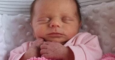 Darcy died at just five weeks old two days after collapsing at home - she had sustained a catastrophic brain injury, 47 rib fractures and fractures to both legs