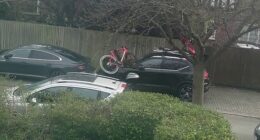 Video footage shows the moment one of the thieves, who arrived on a motorbike, lifted one of the bikes over his shoulder before the pair made their escape